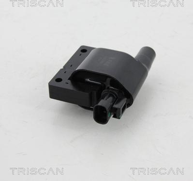 Triscan 8860 14014 - Aizdedzes spole www.autospares.lv