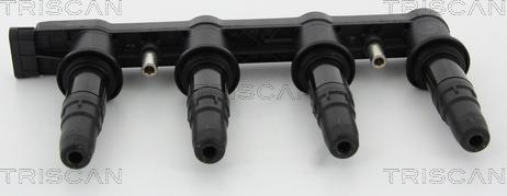 Triscan 8860 10025 - Катушка зажигания www.autospares.lv