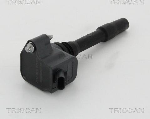 Triscan 8860 11020 - Aizdedzes spole www.autospares.lv