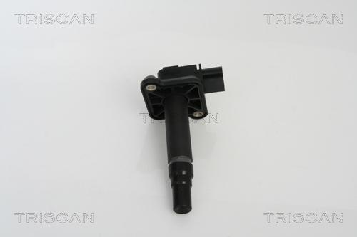 Triscan 8860 29021 - Ignition Coil www.autospares.lv