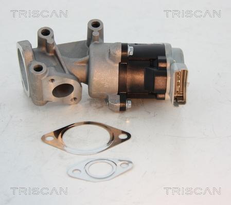 Triscan 8813 10008 - Izpl. gāzu recirkulācijas vārsts www.autospares.lv