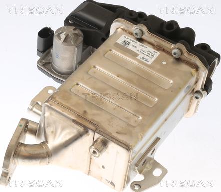 Triscan 8813 29006 - Izpl. gāzu recirkulācijas vārsts www.autospares.lv