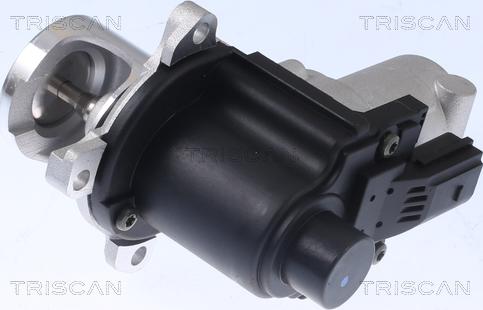 Triscan 8813 29015 - EGR Valve www.autospares.lv