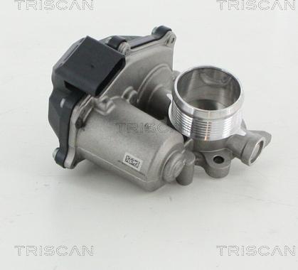 Triscan 8813 29316 - EGR Valve www.autospares.lv