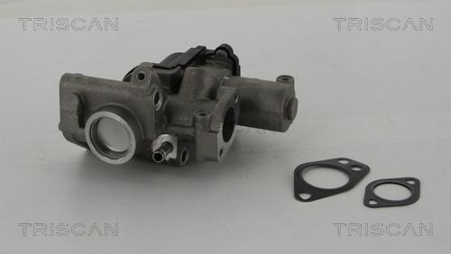 Triscan 8813 29312 - EGR Valve www.autospares.lv