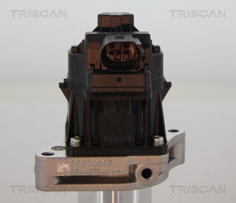 Triscan 8813 24205 - Izpl. gāzu recirkulācijas vārsts www.autospares.lv