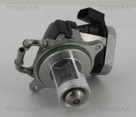 Triscan 8813 23002 - Izpl. gāzu recirkulācijas vārsts www.autospares.lv