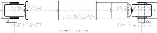 Triscan 8705 29213 - Amortizators autospares.lv