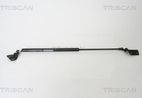 Triscan 8710 69223 - Gāzes atspere, Bagāžas / Kravas nodalījuma vāks www.autospares.lv