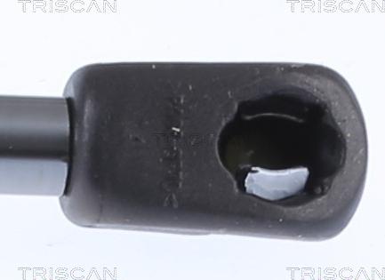 Triscan 8710 15258 - Gāzes atspere, Bagāžas / Kravas nodalījuma vāks www.autospares.lv