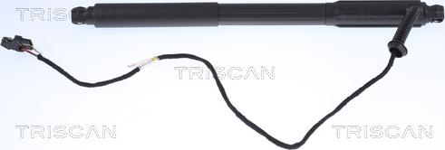 Triscan 8710 11303 - Gāzes atspere, Bagāžas / Kravas nodalījuma vāks www.autospares.lv