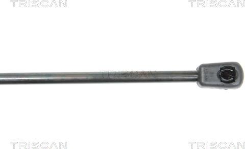 Triscan 8710 29129 - Gas Spring, bonnet www.autospares.lv