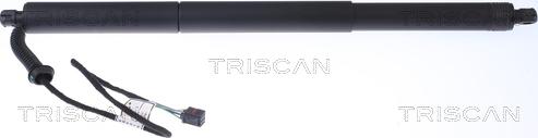 Triscan 8710 29302 - Gāzes atspere, Bagāžas / Kravas nodalījuma vāks www.autospares.lv