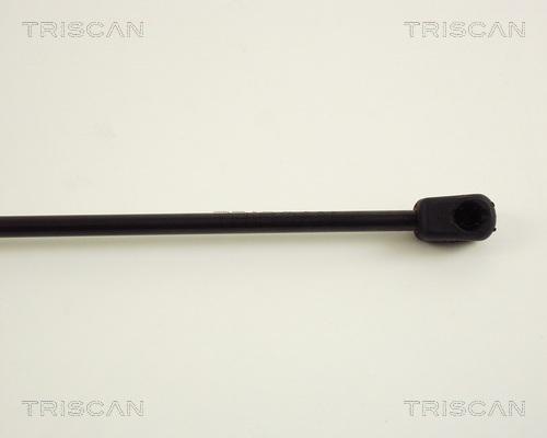 Triscan 8710 29225 - Gas Spring, boot, cargo area www.autospares.lv