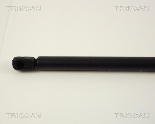 Triscan 8710 29225 - Gas Spring, boot, cargo area www.autospares.lv