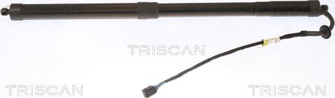 Triscan 8710 20303 - Gāzes atspere, Bagāžas / Kravas nodalījuma vāks www.autospares.lv