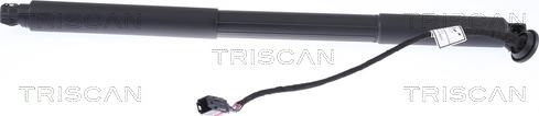 Triscan 8710 27302 - Gāzes atspere, Bagāžas / Kravas nodalījuma vāks www.autospares.lv