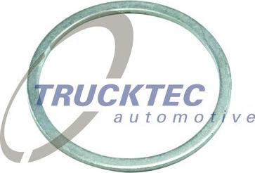 Trucktec Automotive 01.67.013 - Blīvgredzens www.autospares.lv