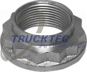 Trucktec Automotive 08.32.053 - Axle Nut, drive shaft www.autospares.lv