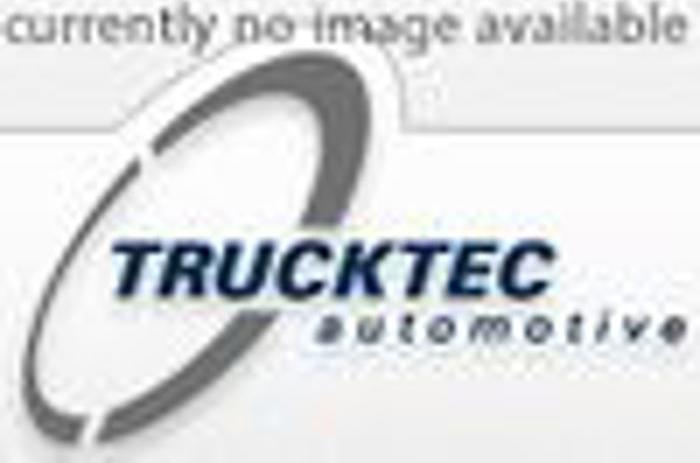 Trucktec Automotive 02.67.266 - Sadales vārpstas piedziņas ķēde www.autospares.lv