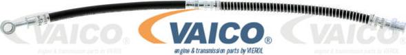 VAICO V95-9581 - Bremžu šļūtene www.autospares.lv