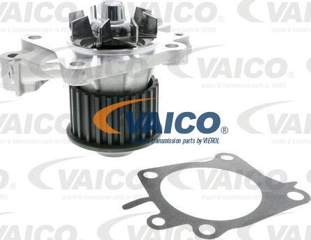 VAICO V95-50005 - Ūdenssūknis autospares.lv