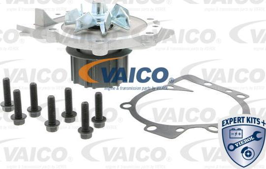 VAICO V95-50006 - Ūdenssūknis www.autospares.lv