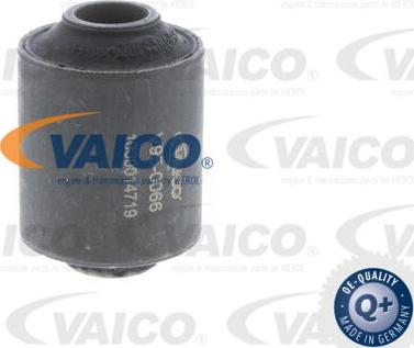 VAICO V95-0066 - Piekare, Šķērssvira autospares.lv