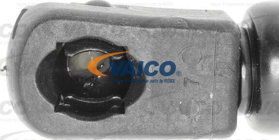 VAICO V95-0134 - Gāzes atspere, Bagāžas / Kravas nodalījuma vāks www.autospares.lv