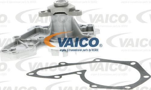 VAICO V46-50005 - Ūdenssūknis www.autospares.lv