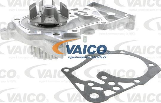 VAICO V46-50002 - Ūdenssūknis www.autospares.lv