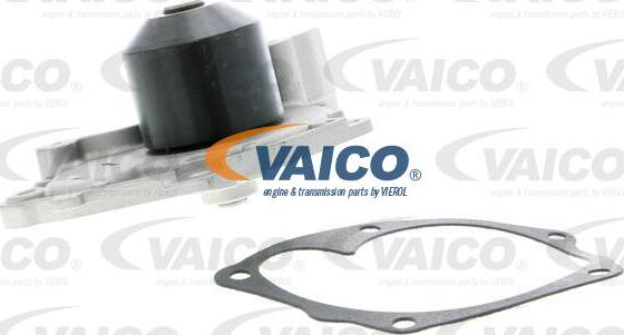 VAICO V46-50007 - Ūdenssūknis autospares.lv