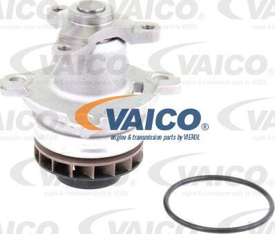 VAICO V46-50010 - Ūdenssūknis www.autospares.lv