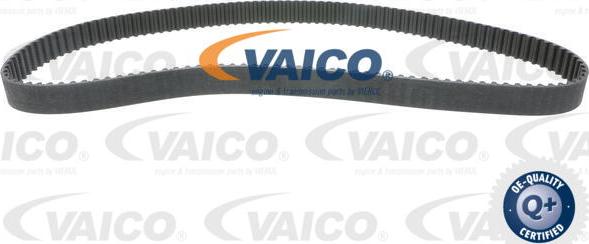 VAICO V46-50024-BEK - Water Pump & Timing Belt Set www.autospares.lv