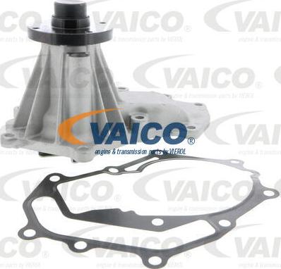 VAICO V46-50021 - Ūdenssūknis autospares.lv