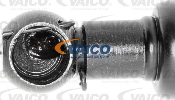 VAICO V46-0438 - Gāzes atspere, Bagāžas / Kravas nodalījuma vāks www.autospares.lv