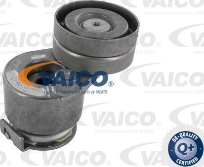 VAICO V46-0318 - Parazīt / Vadrullītis, Ķīļrievu siksna www.autospares.lv