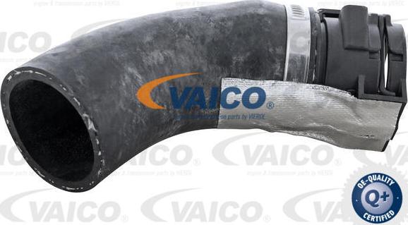 VAICO V46-1724 - Pūtes sistēmas gaisa caurule www.autospares.lv