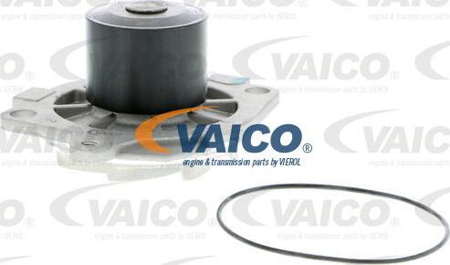 VAICO V40-50044 - Ūdenssūknis www.autospares.lv