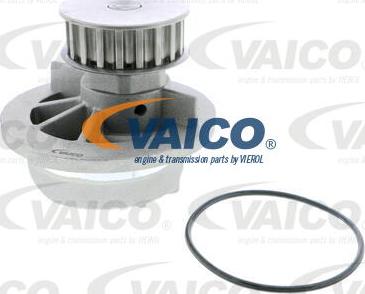 VAICO V40-50042 - Ūdenssūknis www.autospares.lv