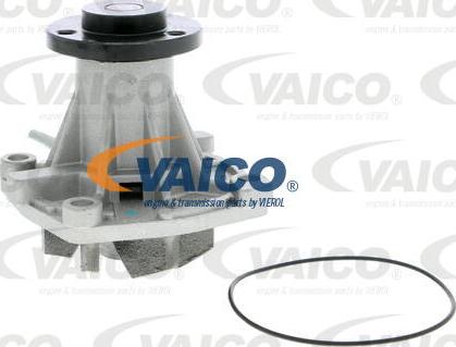 VAICO V40-50054 - Ūdenssūknis autospares.lv