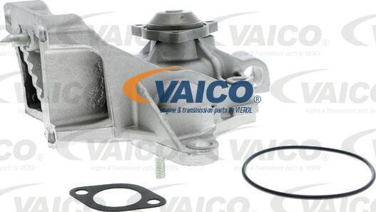 VAICO V40-50052 - Ūdenssūknis www.autospares.lv