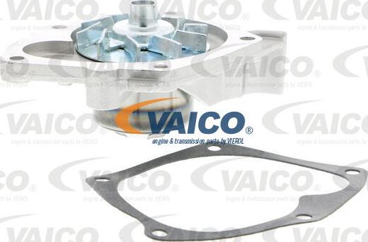 VAICO V40-50057 - Ūdenssūknis autospares.lv