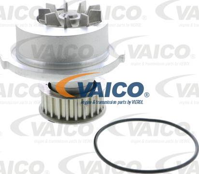 VAICO V40-50008 - Ūdenssūknis www.autospares.lv