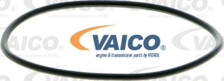 VAICO V40-50019 - Ūdenssūknis www.autospares.lv