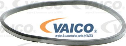 VAICO V40-50039 - Ūdenssūknis www.autospares.lv