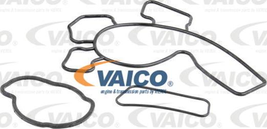 VAICO V40-50031 - Ūdenssūknis www.autospares.lv