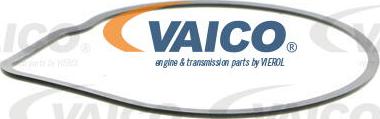 VAICO V40-50038-1 - Ūdenssūknis www.autospares.lv