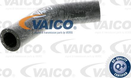 VAICO V40-0367 - Radiatora cauruļvads www.autospares.lv