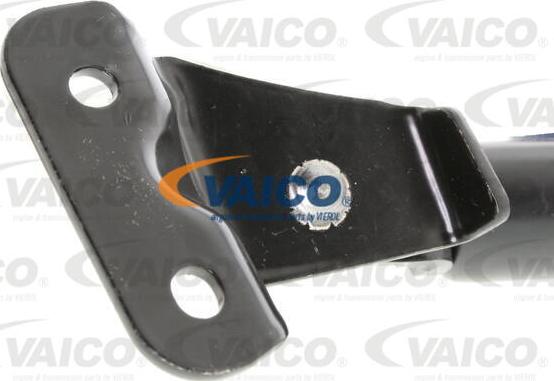 VAICO V40-0749 - Gāzes atspere, Bagāžas / Kravas nodalījuma vāks www.autospares.lv